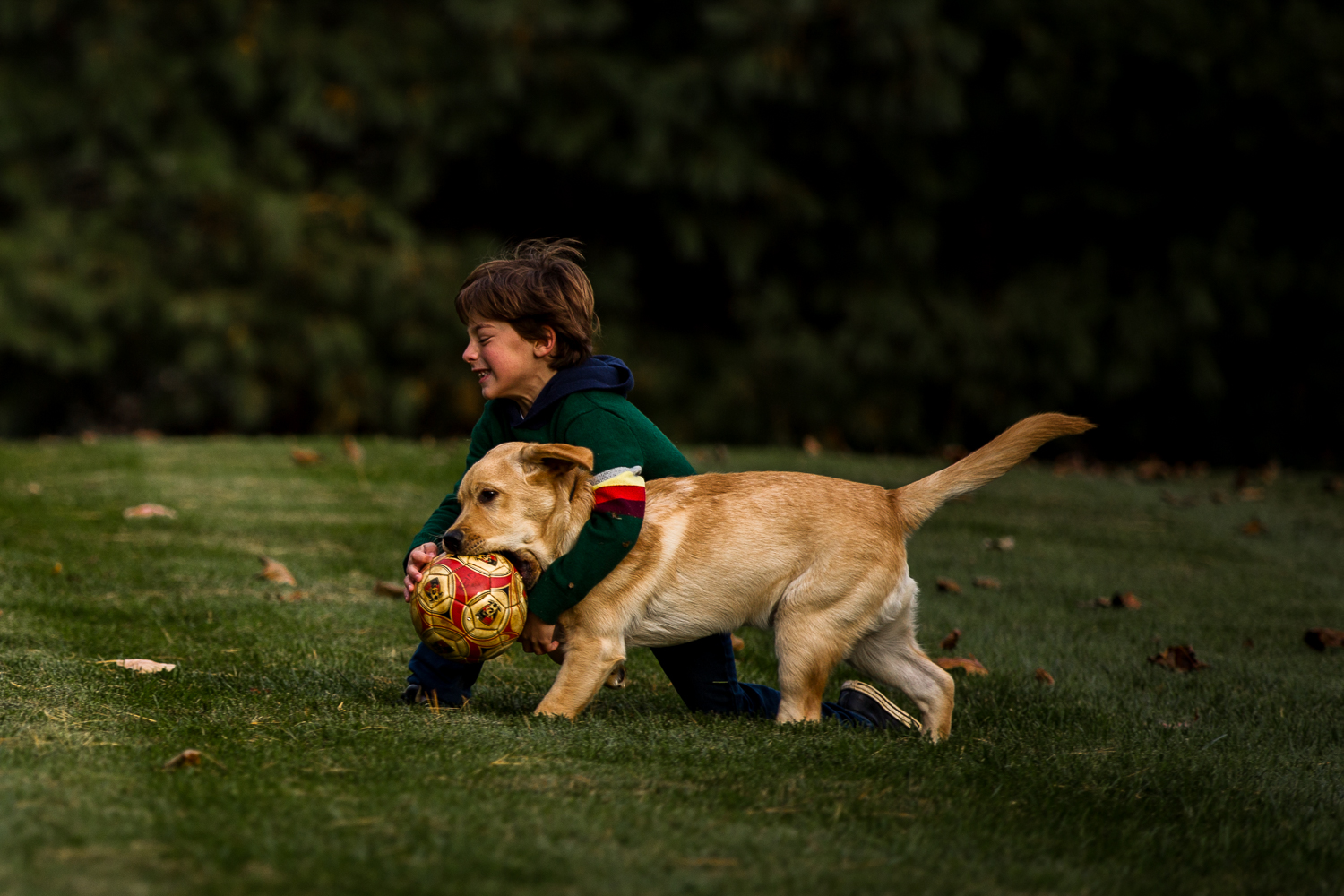 young boy throwing a ball with dog-11.jpg