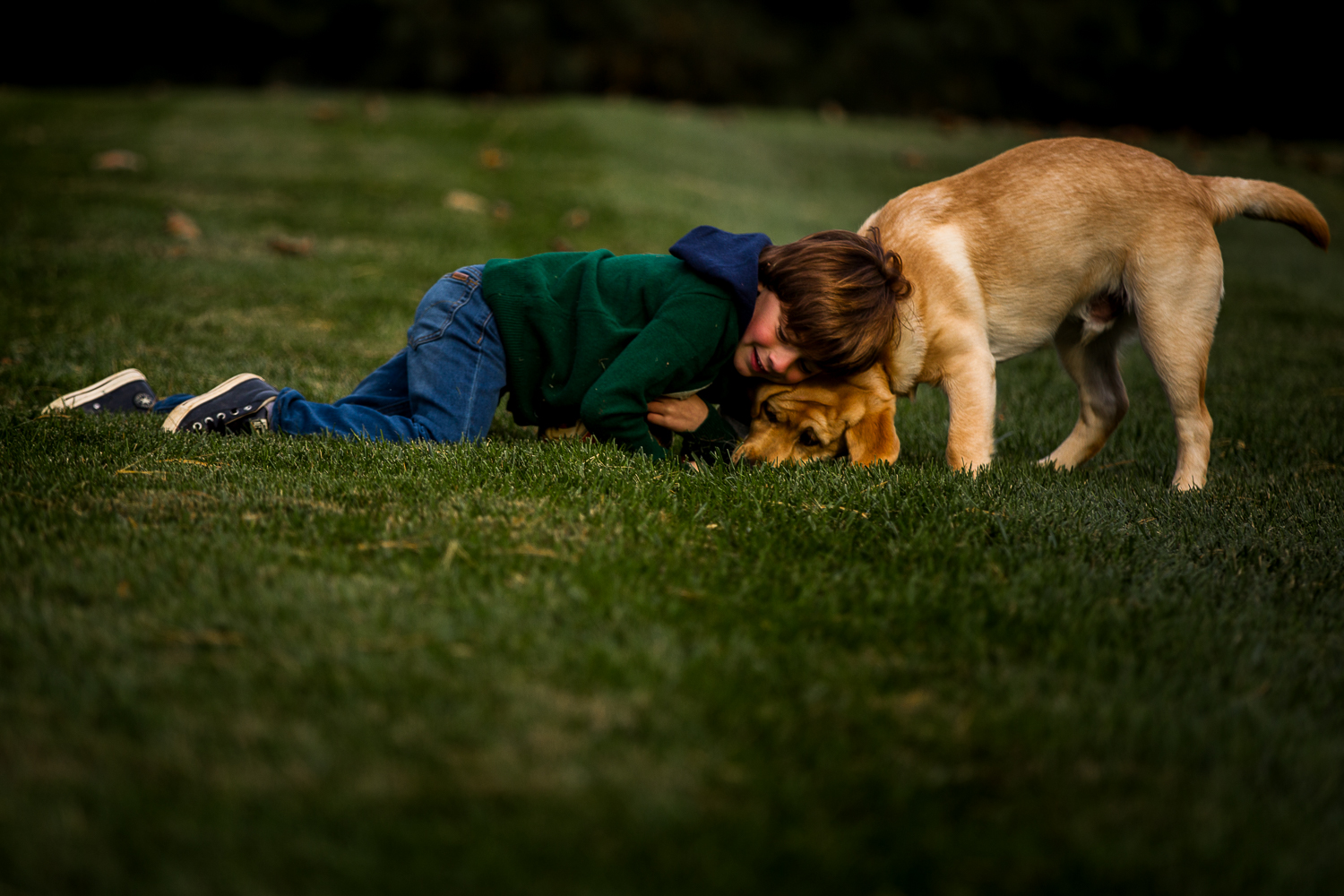 young boy throwing a ball with dog-12.jpg