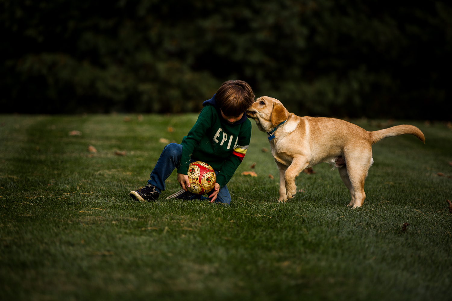 young boy throwing a ball with dog-13.jpg