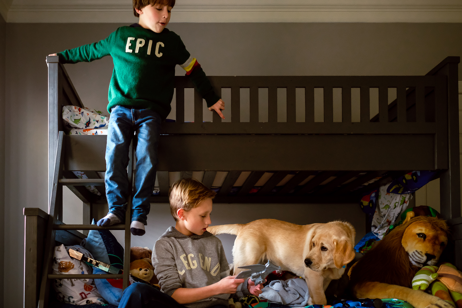  boys and their golden labrador playing on bunkbeds 