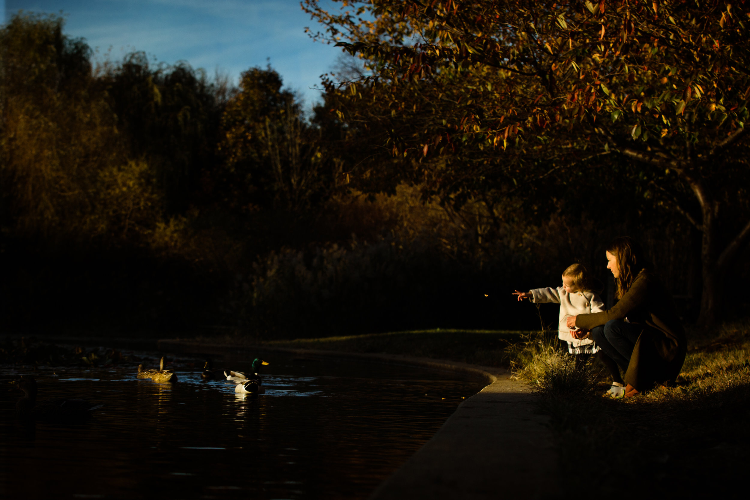little girl feeds the ducks in Patterson Park golden hour portrait