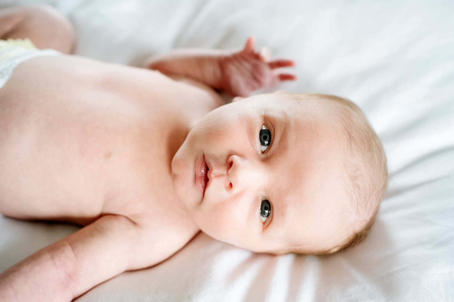  Photograph of newborn baby boy wearing diaper looking at camera in color portrait. 