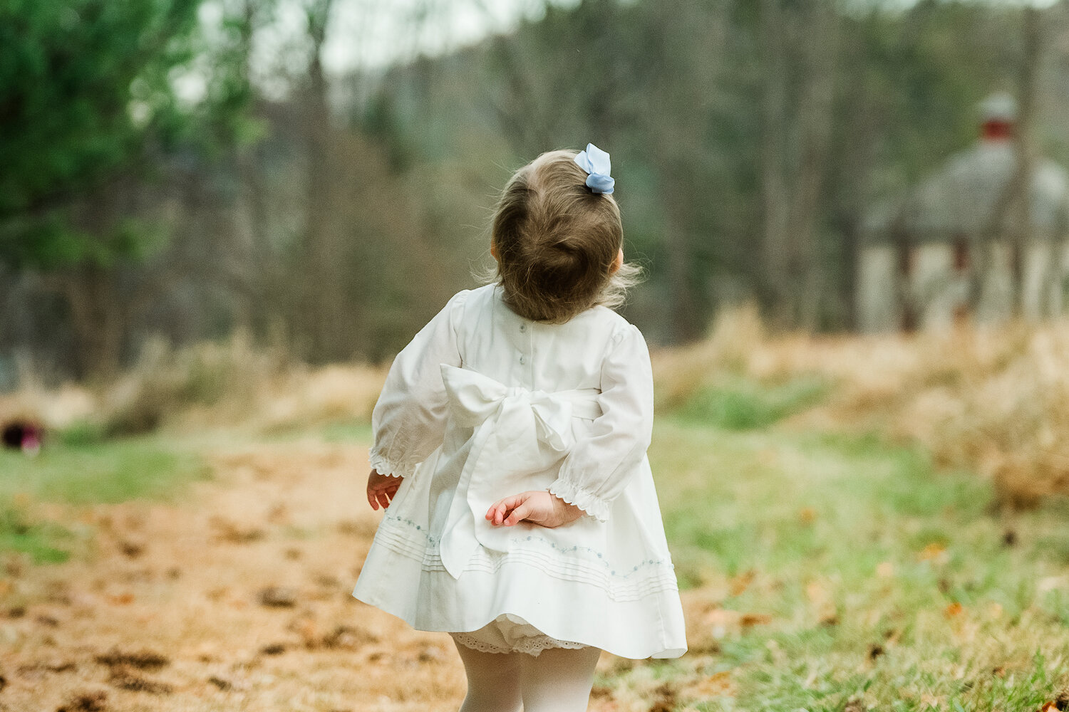 professional photograph of little girl in white dress and bloomers standing in field.
