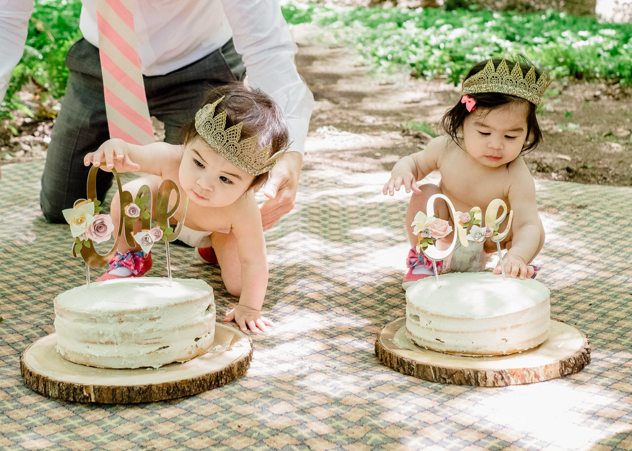 twin-girls-wearing-crowns-approach-first-birthday-cakes-at-party.jpg
