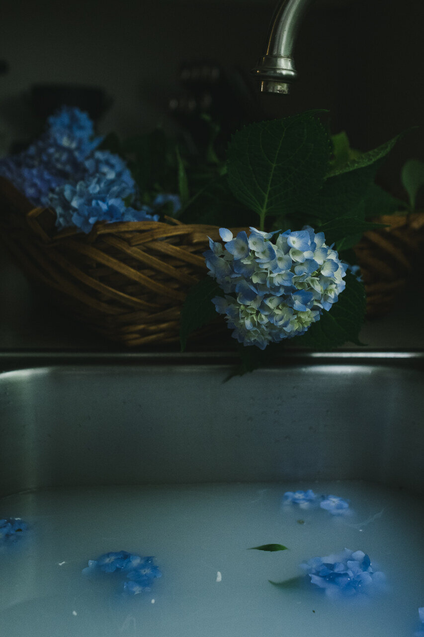 hydrangea_flowers_in_basket_by_sink_bath.jpg