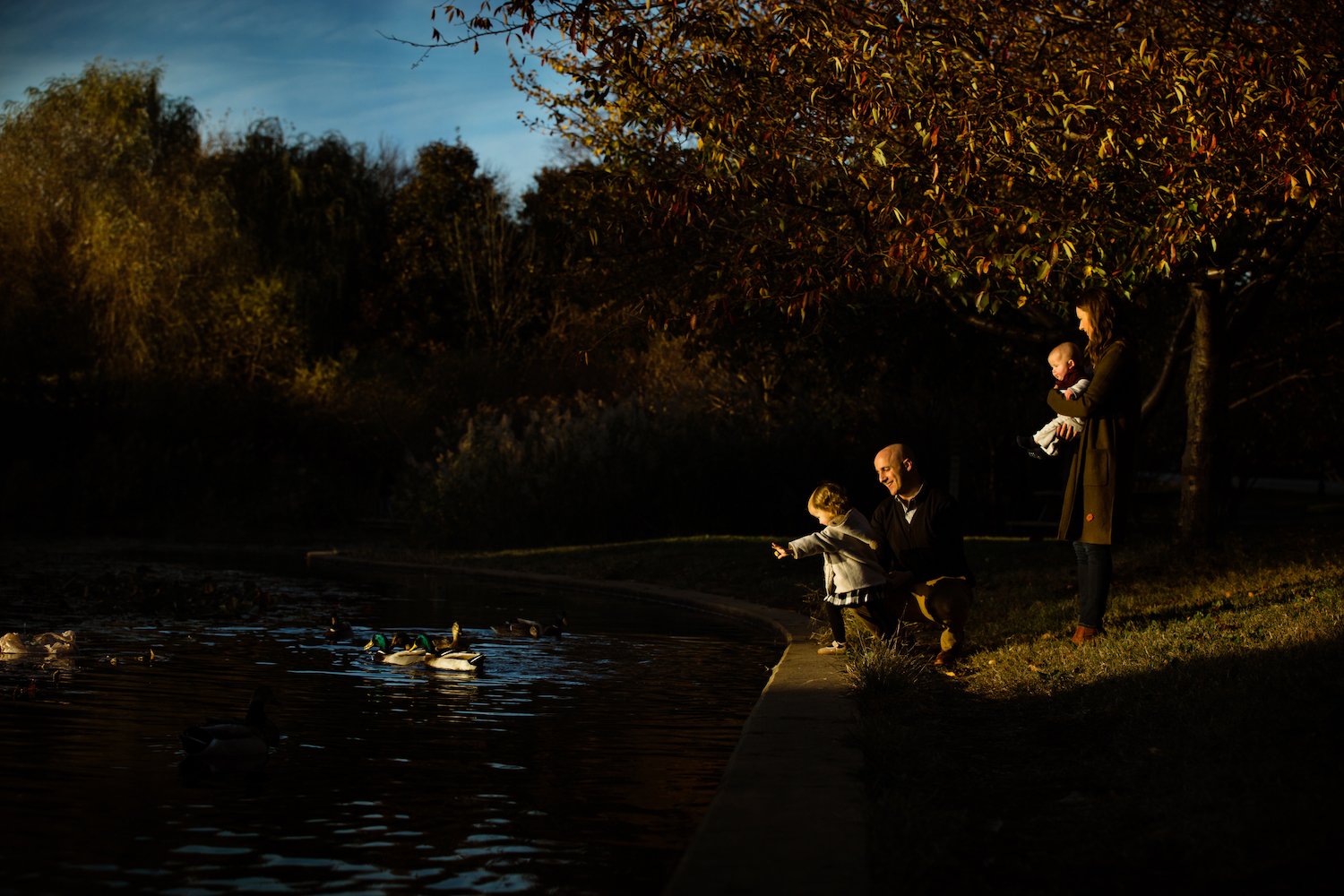 family feeds ducks by pond