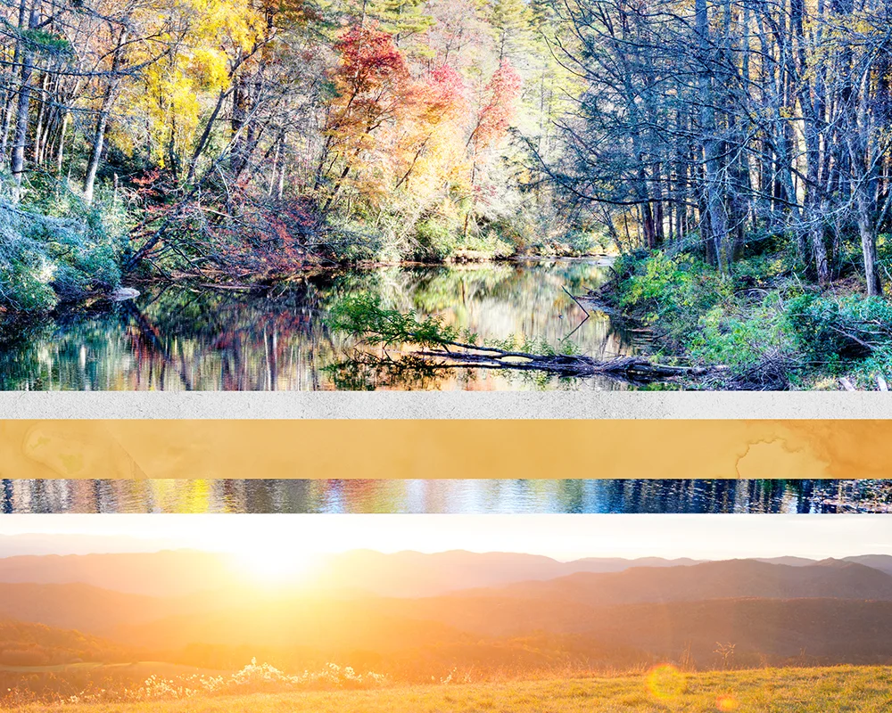 NORTH CAROLINA