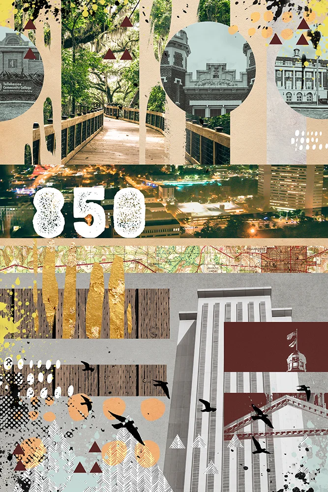 Tallahassee24x36_2.jpg