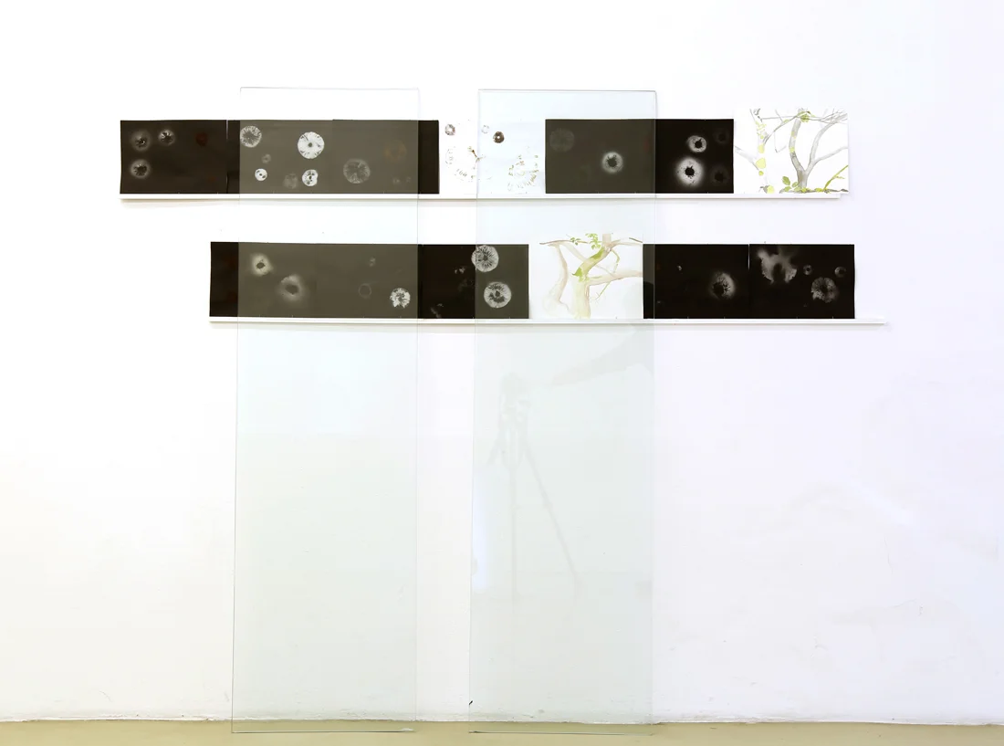 signals from outer space