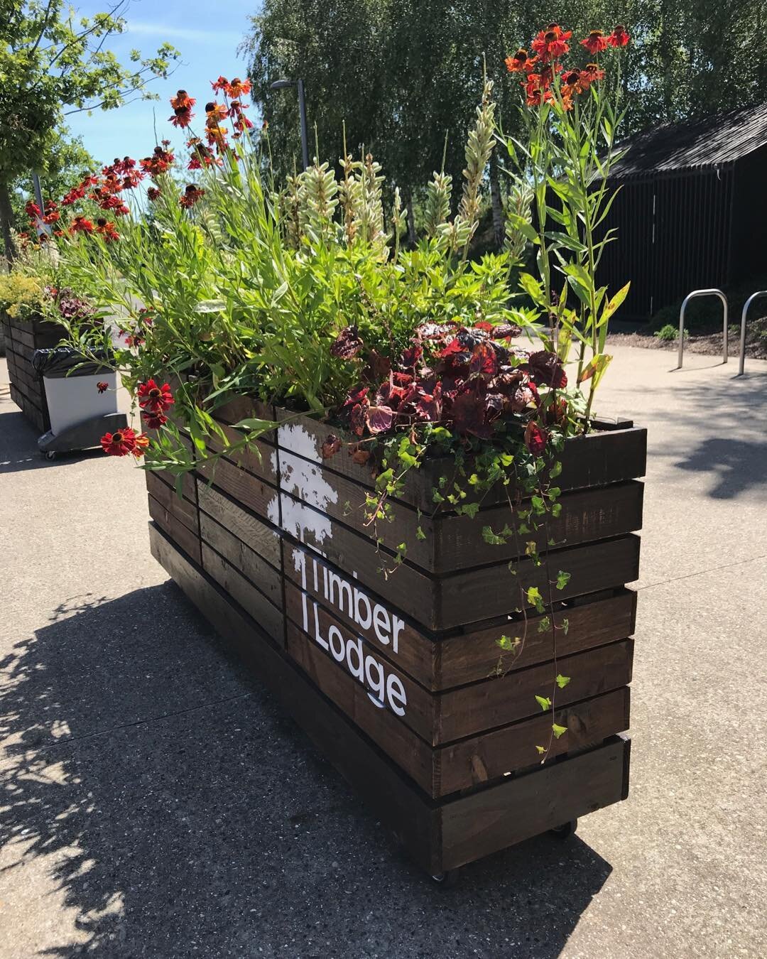 Already thinking of the summer just gone and the crate style mobile planters we made for #timberlodgecafe #qeop