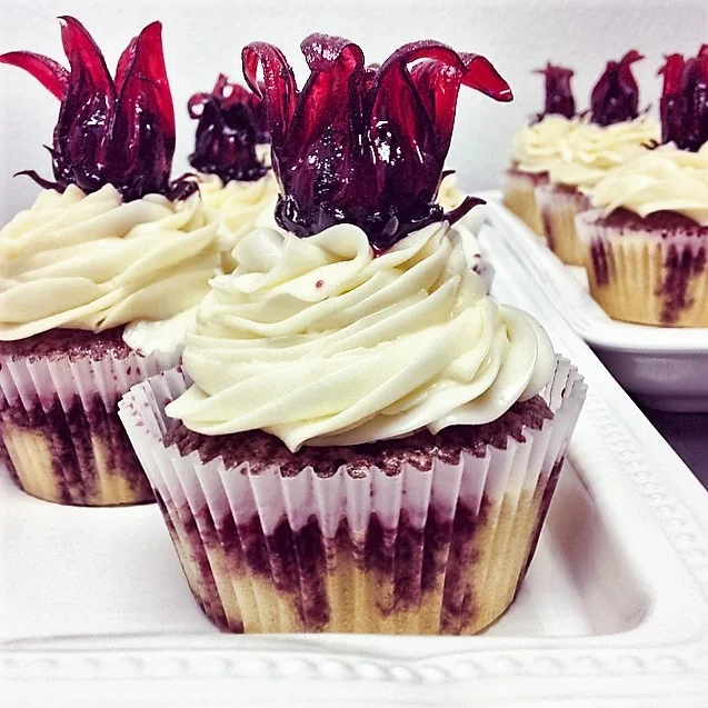 hibiscuscupcakes - Copy (2).jpg