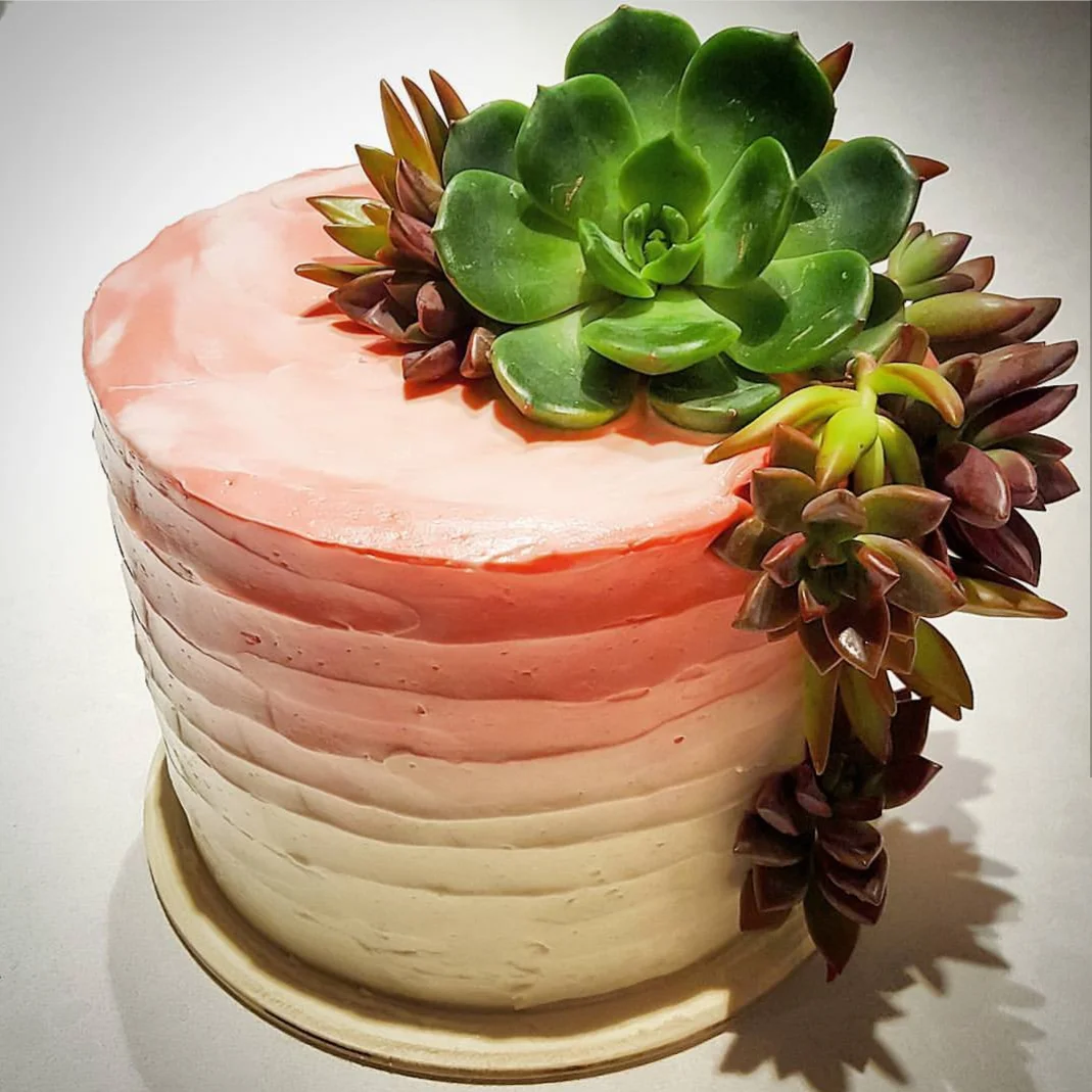 20180808_114654.jpg