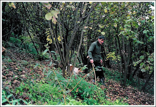 truffle hunting.jpg