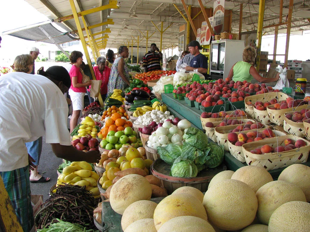 FarmersMarket_NatalieMaynor.jpg