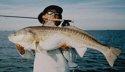 Louisiana_Redfish_LAAngler.jpg