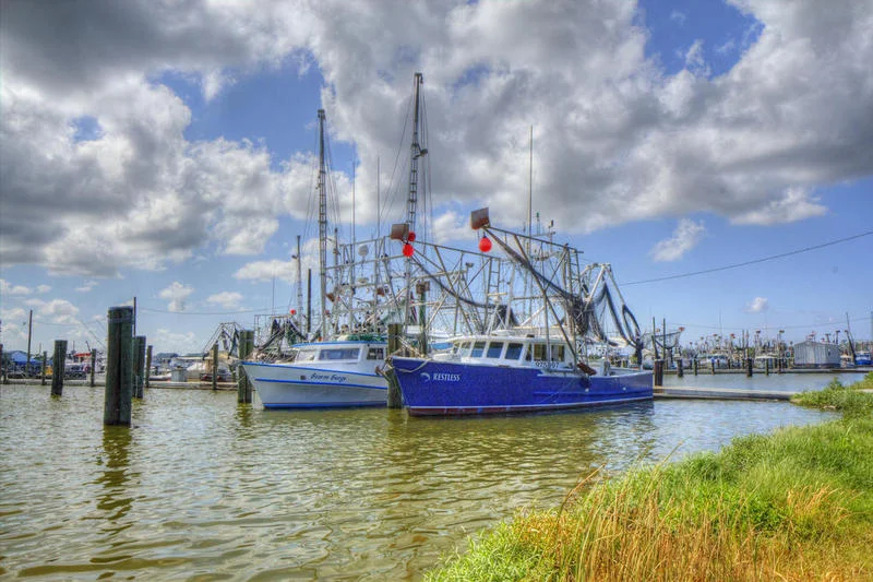 Venice_Shrimp_Boats.jpg