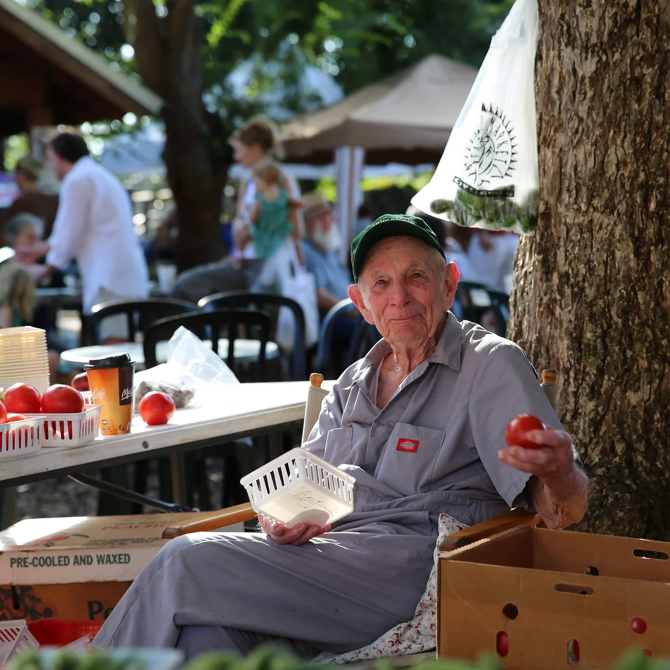 St. Tammany Taste Quick Bites: Covington Farmers Market episode artwork