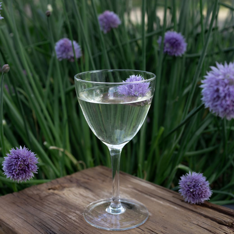 Slow Food, Slow Drinks