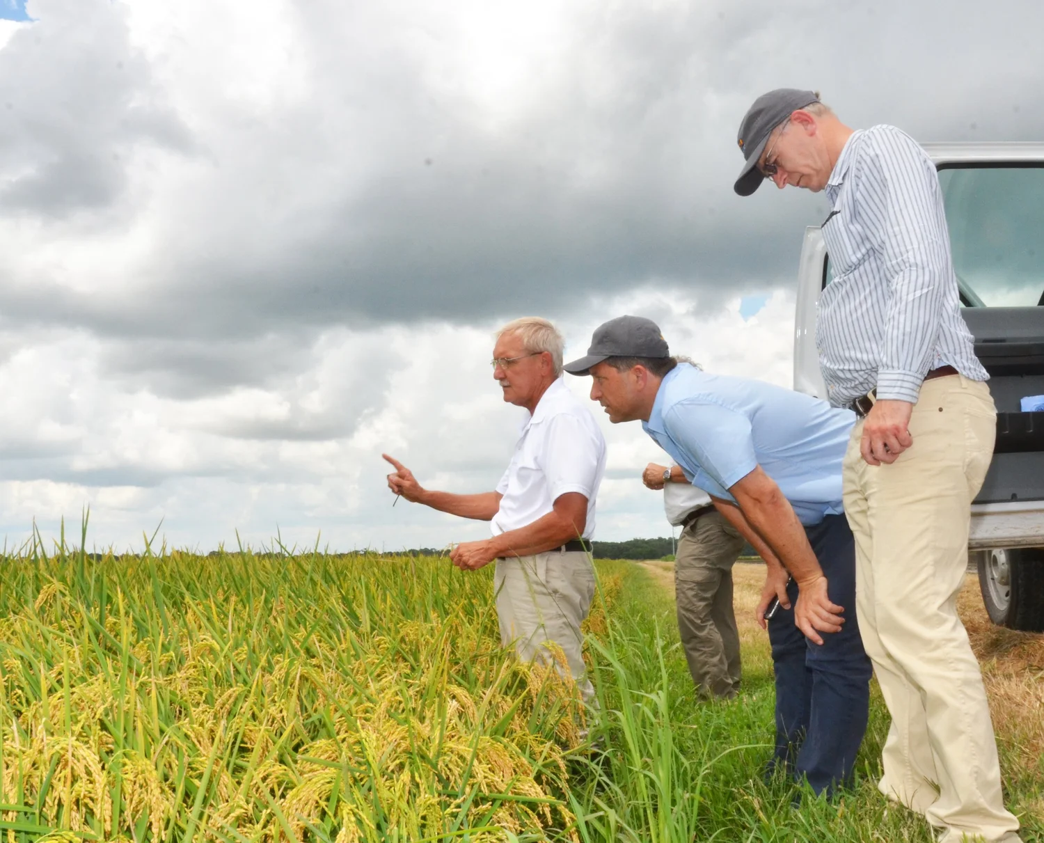 Caught And Grown In Louisiana Caught And Grown In Louisiana