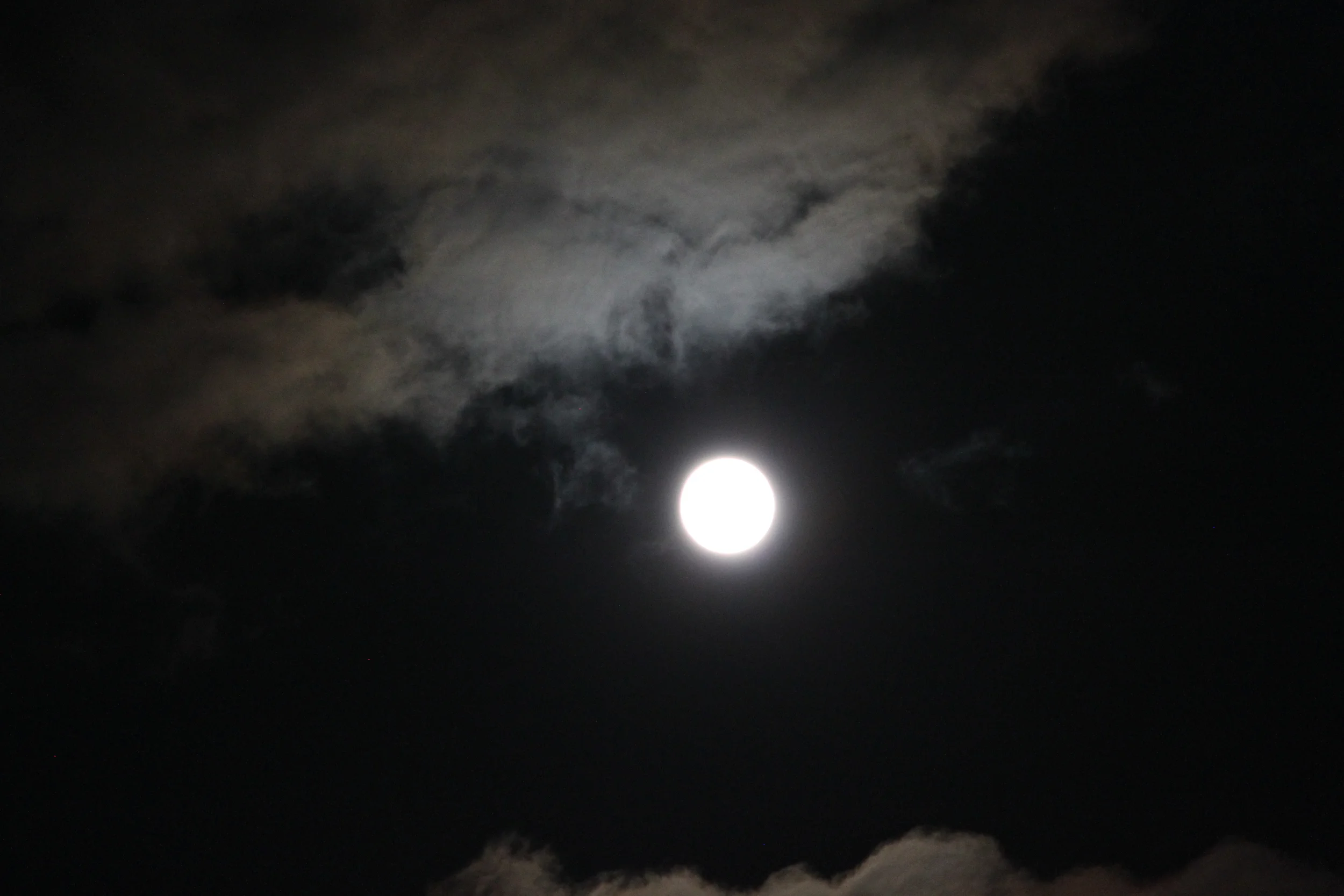 IMG_3212.JPG