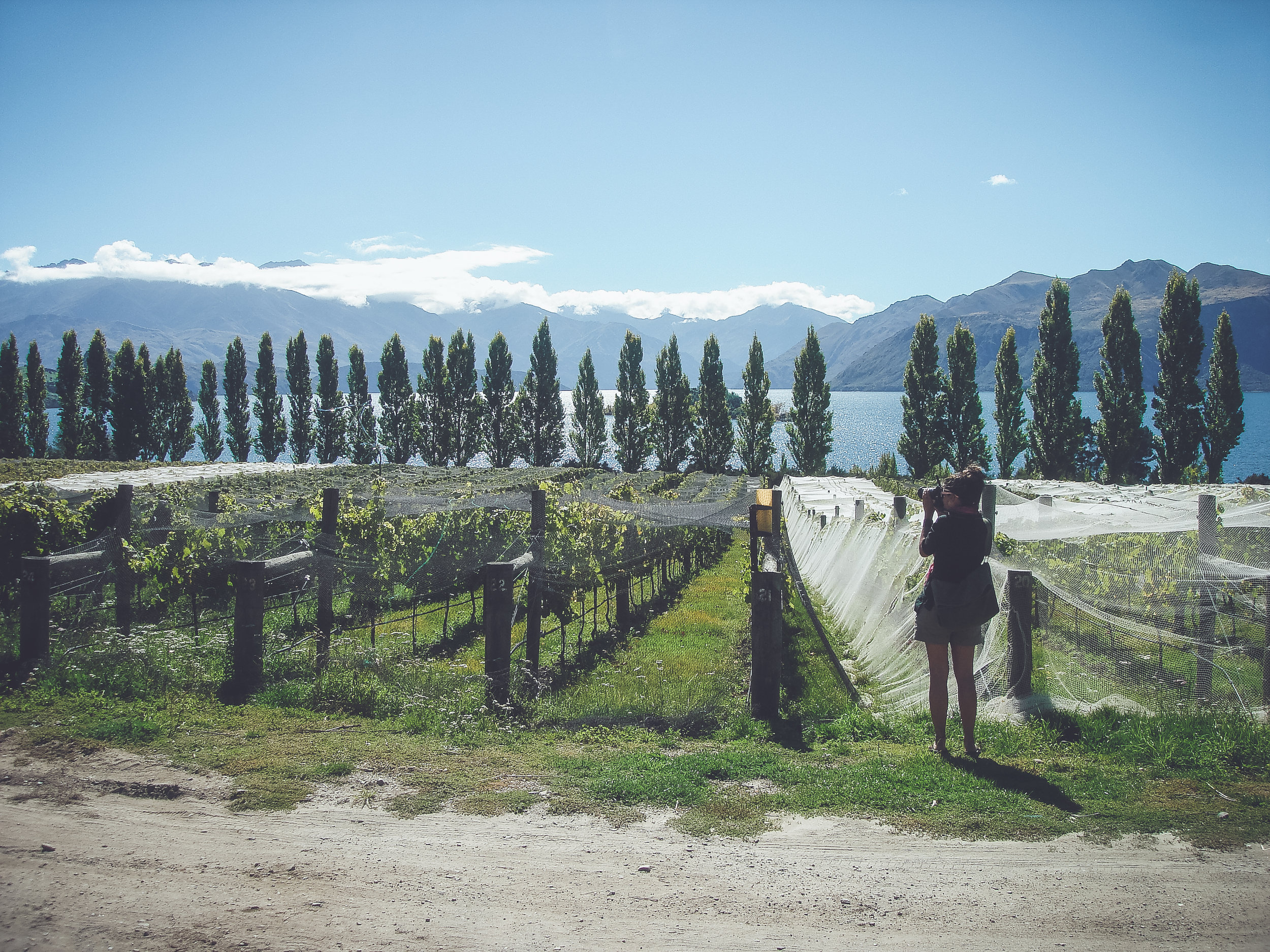  One common theme in Arielle's memories: capturing the beauty of New Zealand.&nbsp; 
