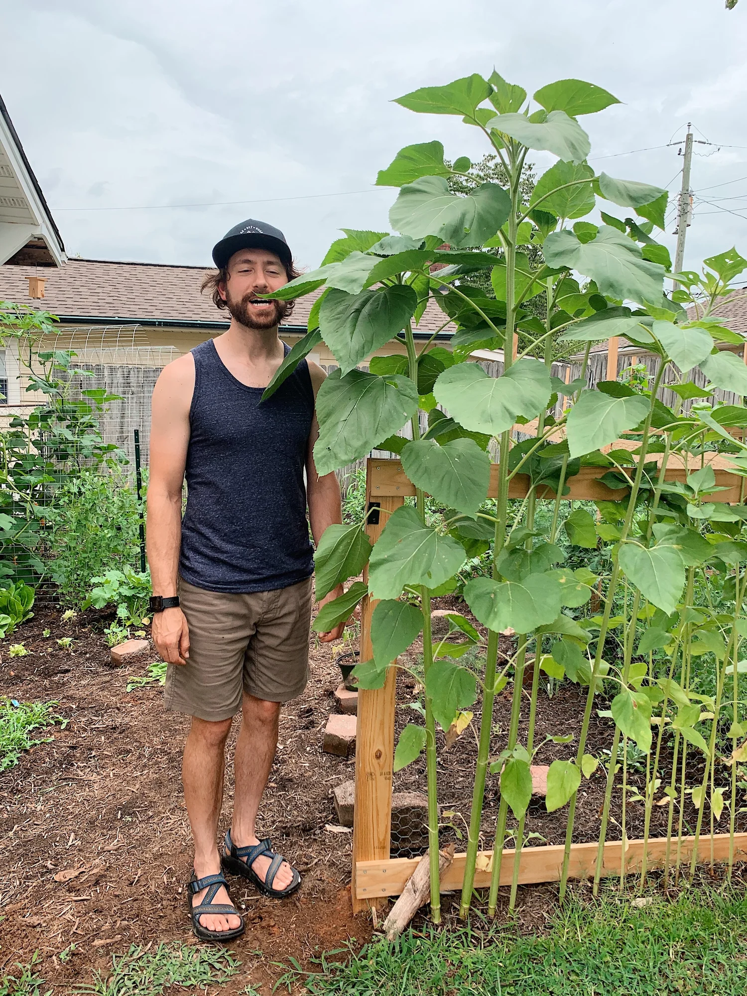 Building Our 2020 East Tennessee Spring Garden Plants, Progress, and Plenty of Lessons Learned