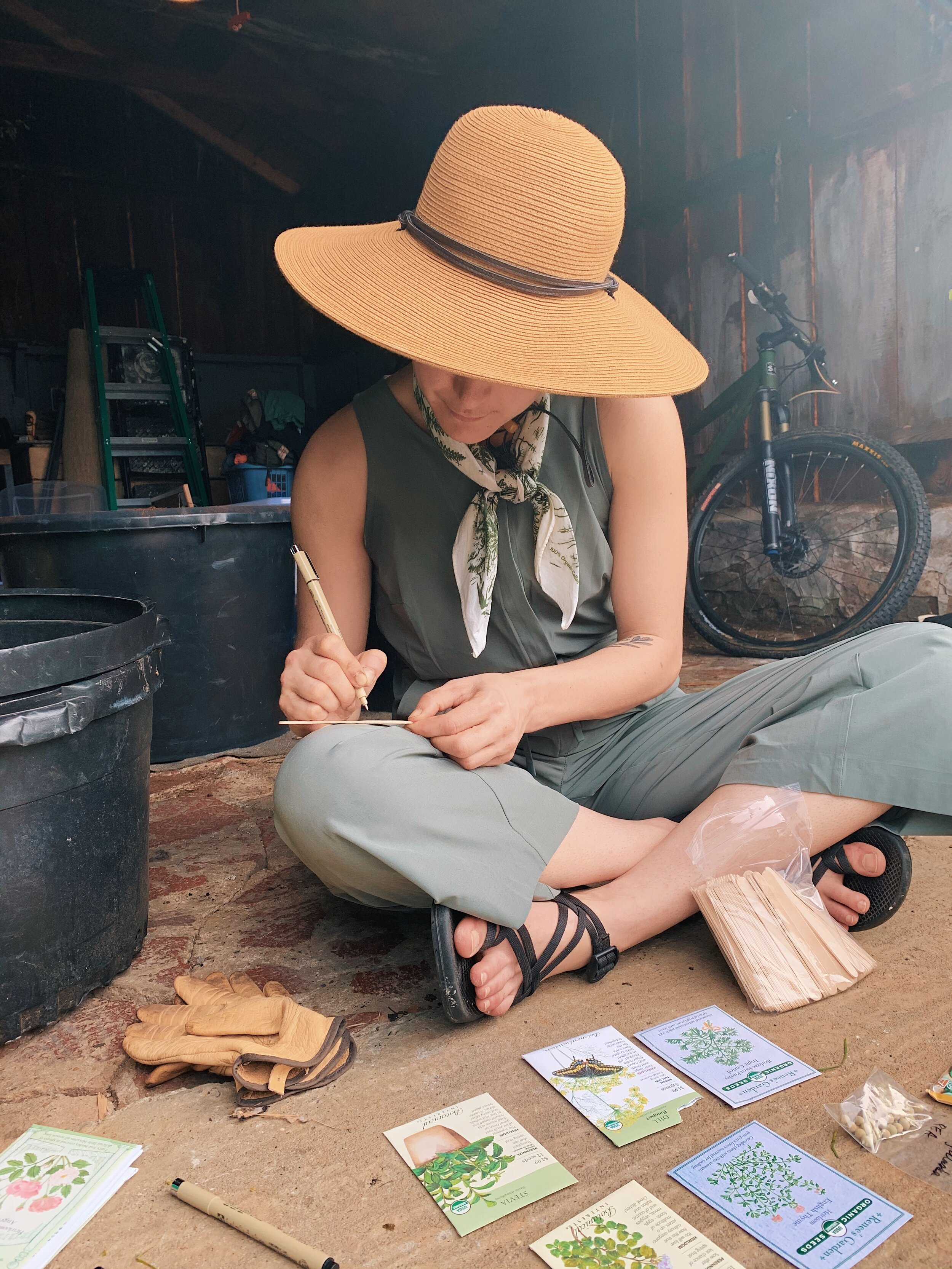 Seeds from Beardlsey Farm