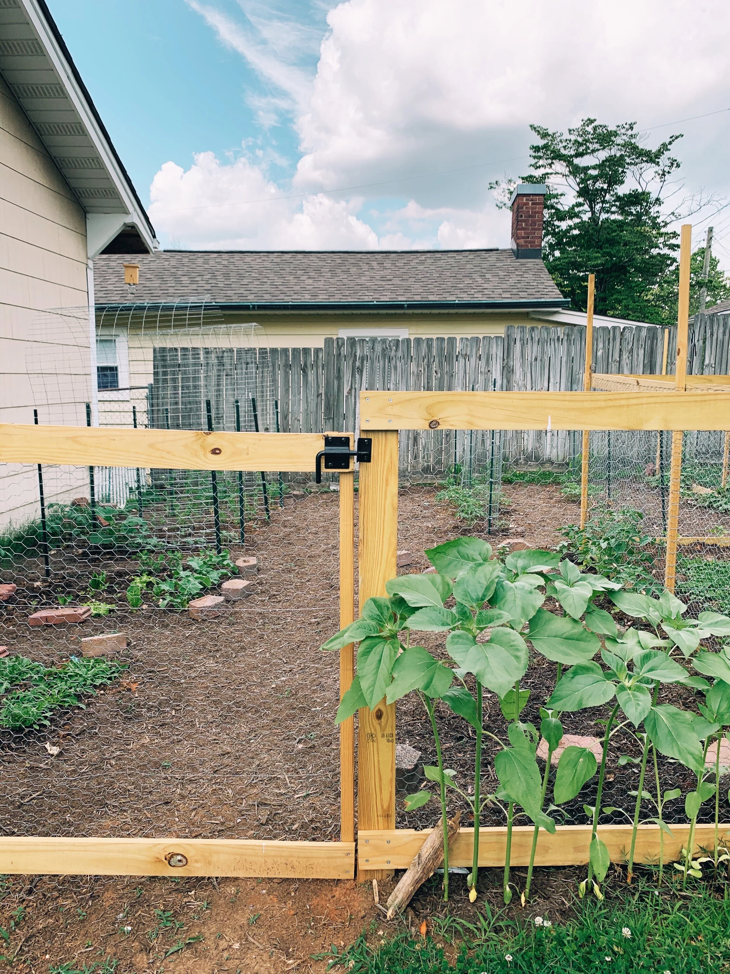 Building Our 2020 East Tennessee Spring Garden | Plants, Progress, and Plenty of Lessons Learned