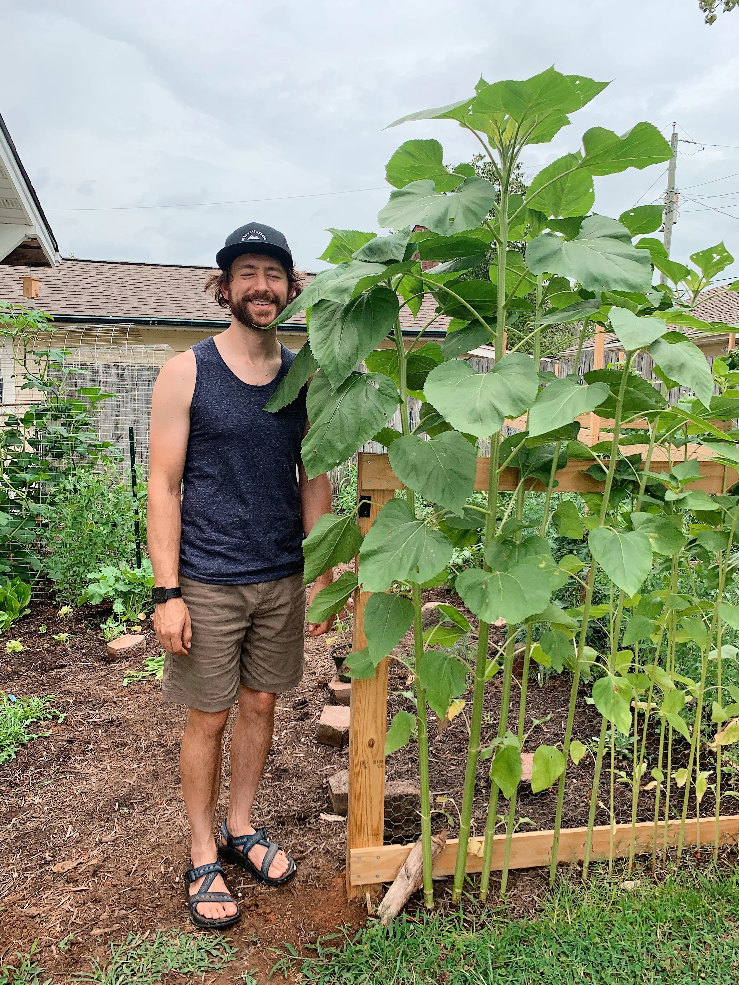 Late Spring - Early Summer in Our East Tennessee Garden