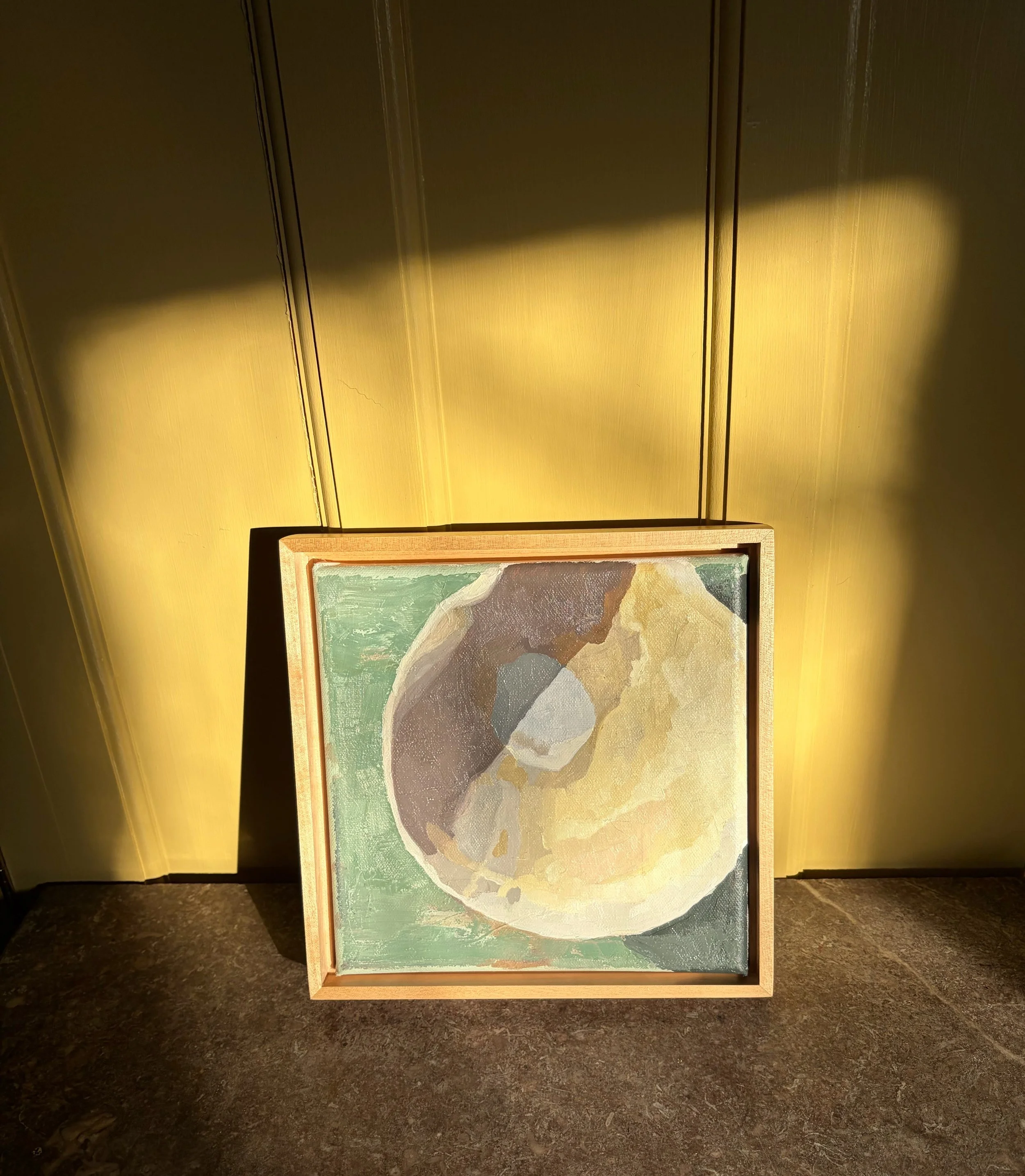 framed shell.jpg