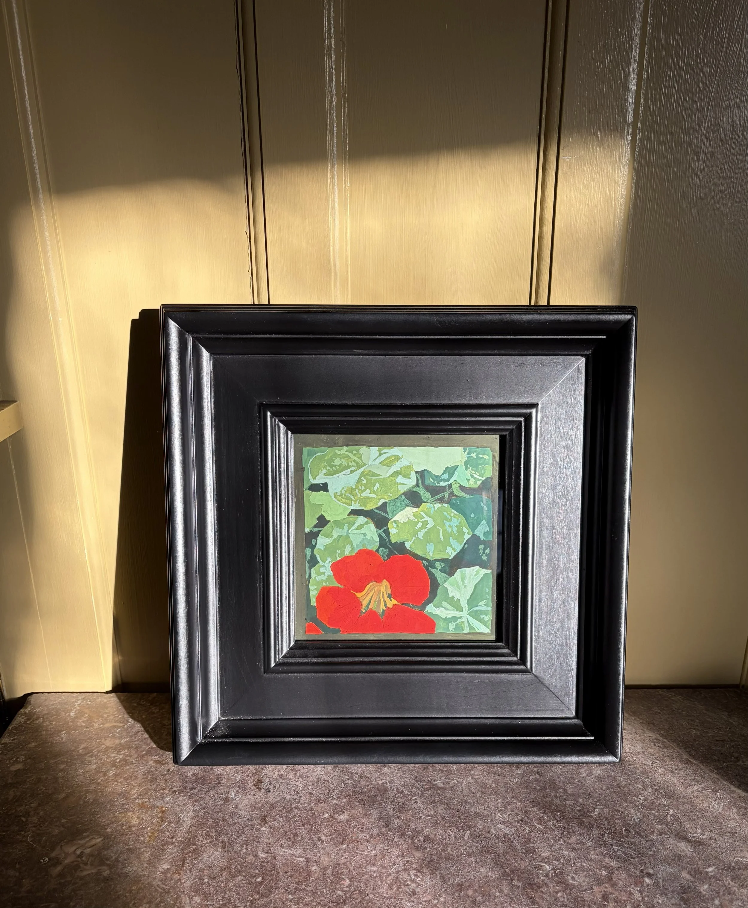 nasturtium in frame.jpg