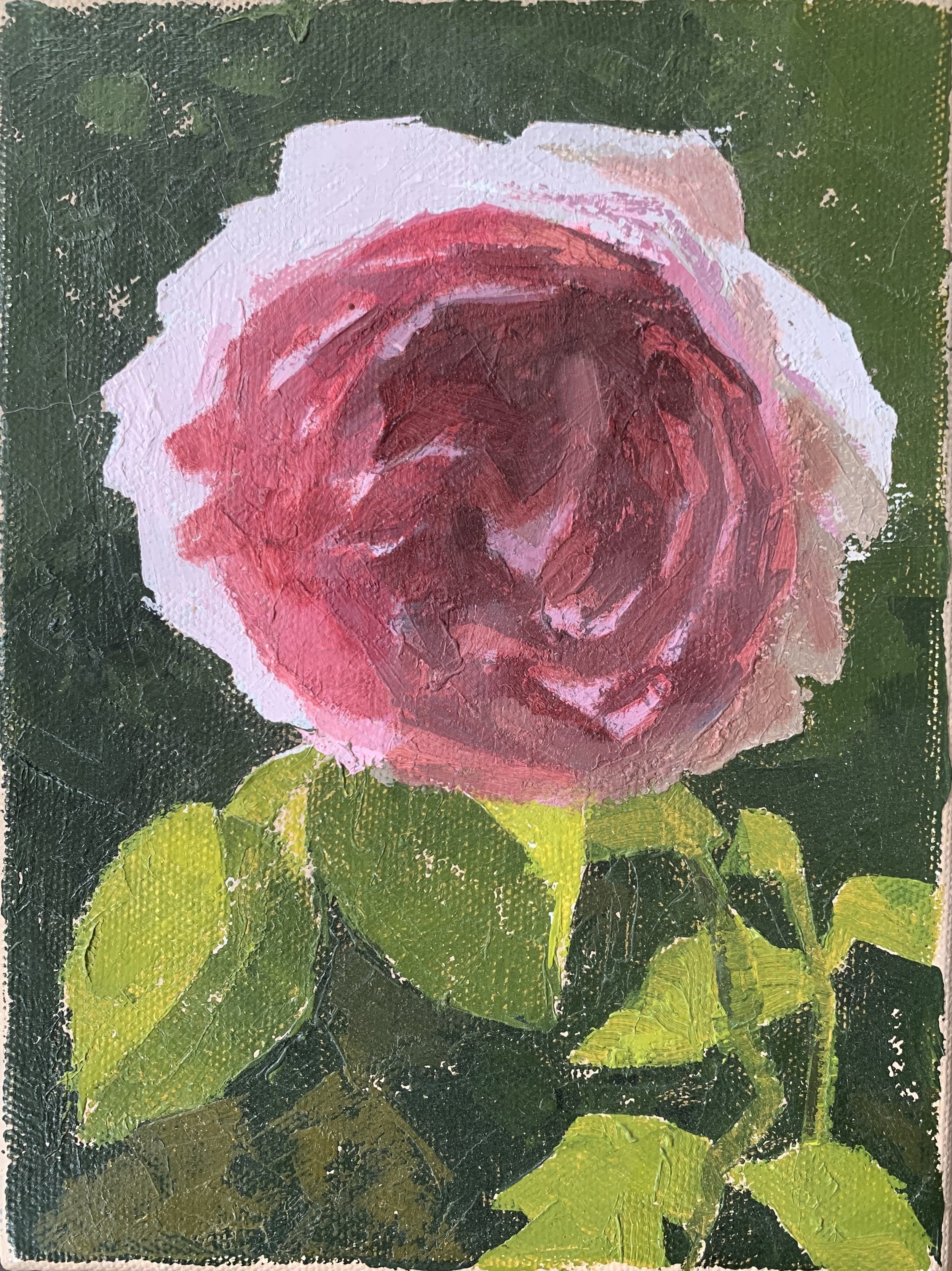 backlit rose.jpeg