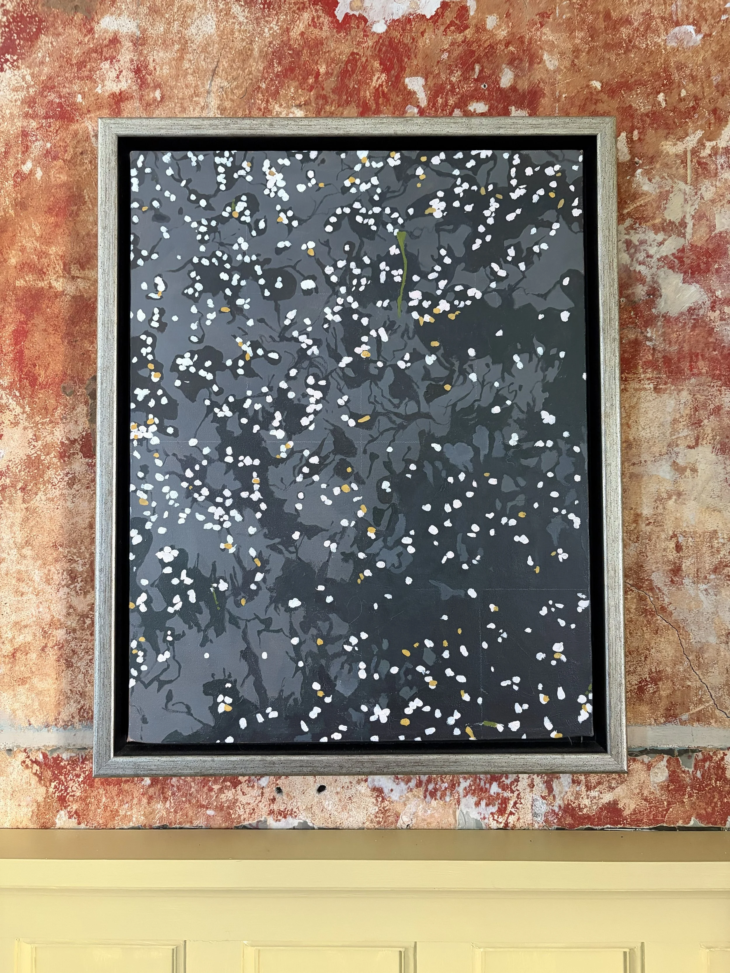 cherry blossoms in frame.jpg