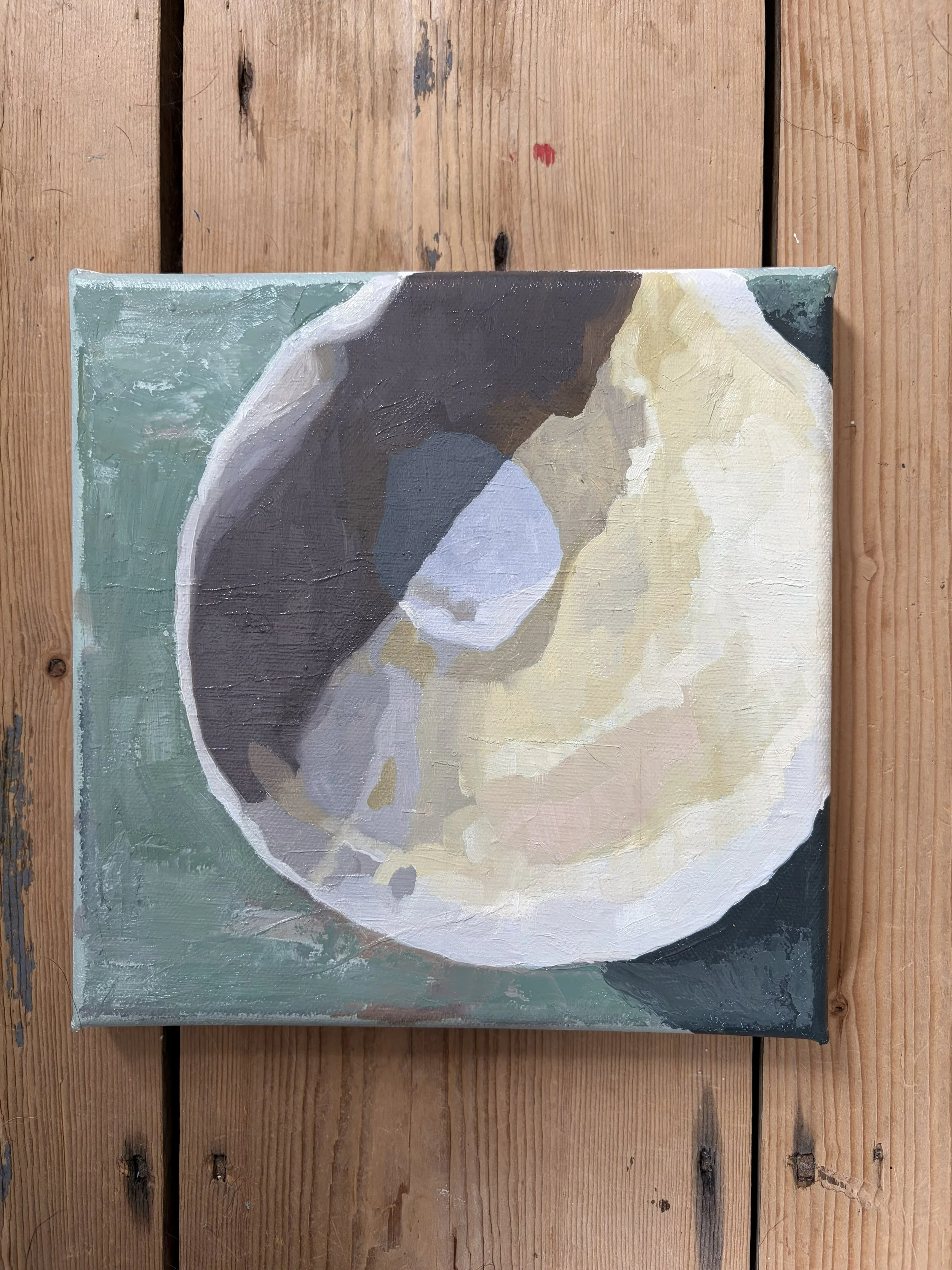 seashell.jpg