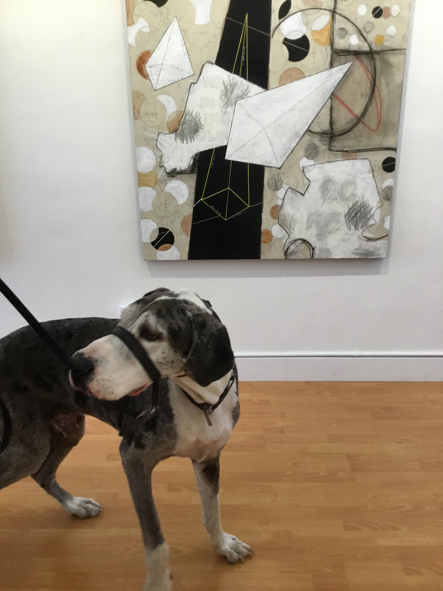 "I want to go into THAT painting." .