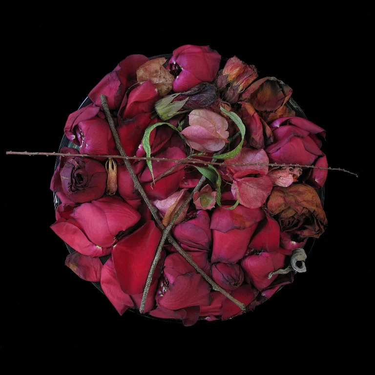 Petals I.jpg