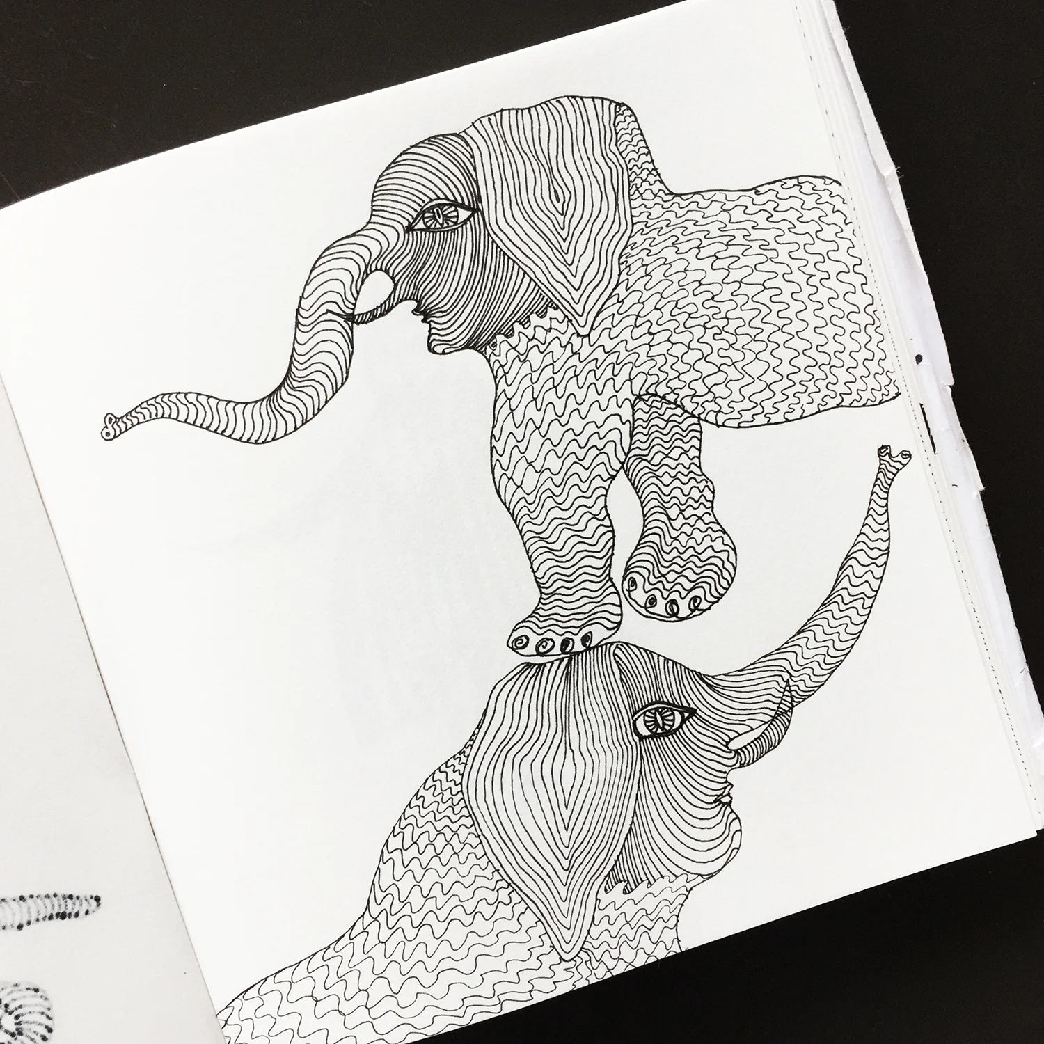 from Anne's sketchbook