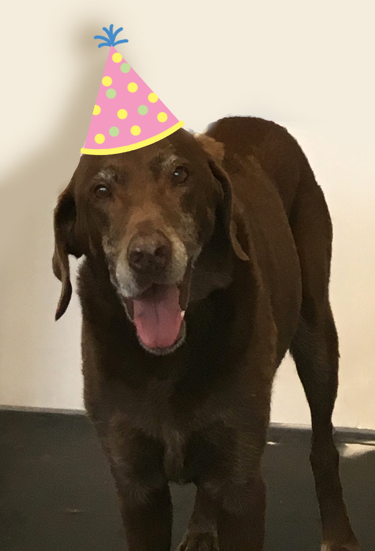 partyhat.jpg
