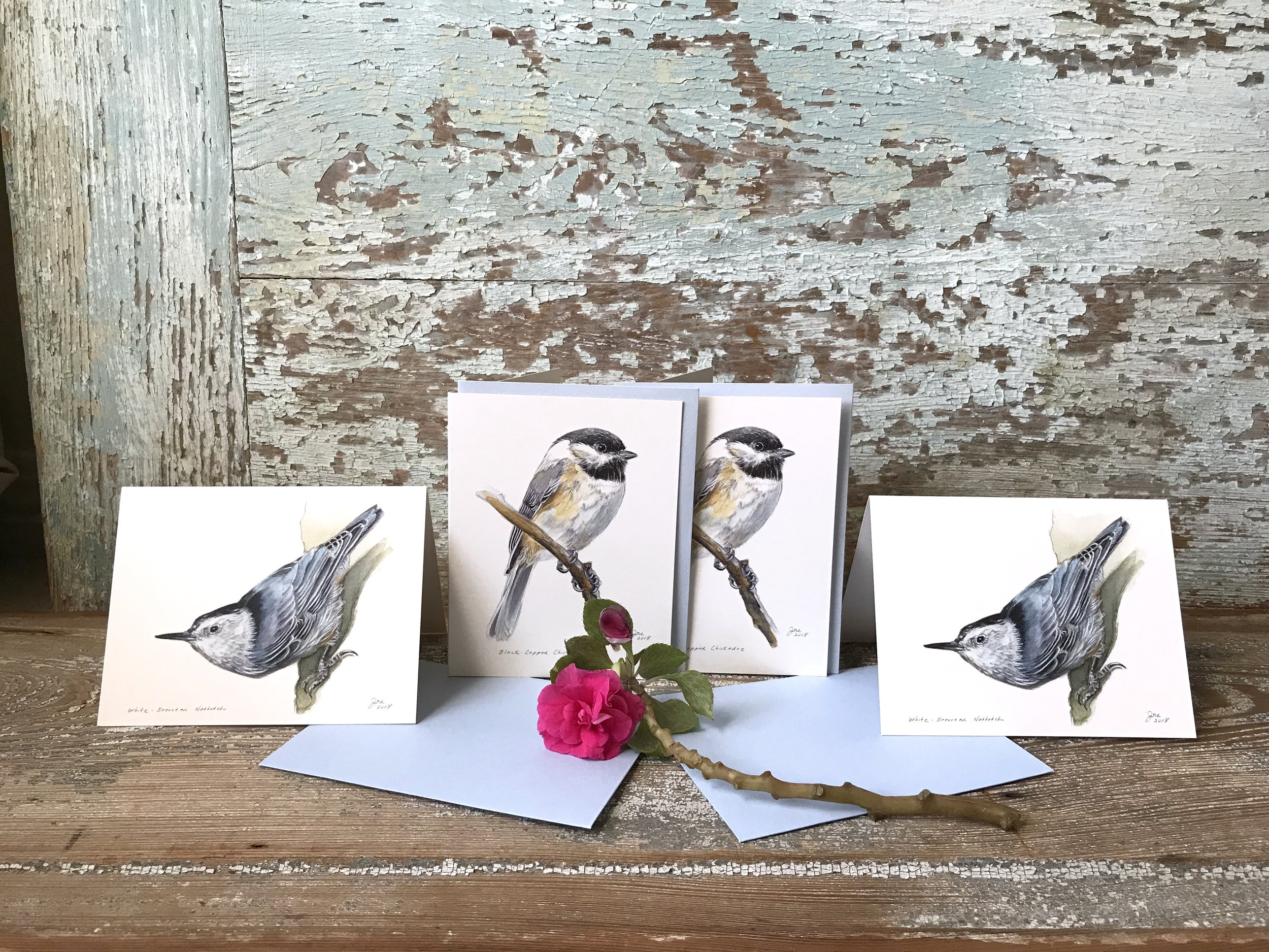 LIMITED STOCK! Set of 4 Note Cards: 2 each of 2 designs (Black-Capped ...