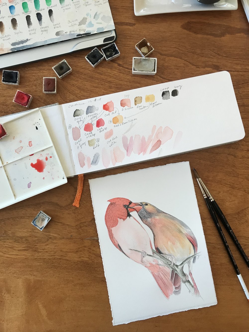 4x5.75/'/' Set of 2 Without Envelopes Watercolor Art Prints Northern Cardinal And Robin Postcards Print Original Art Prints Print Cards