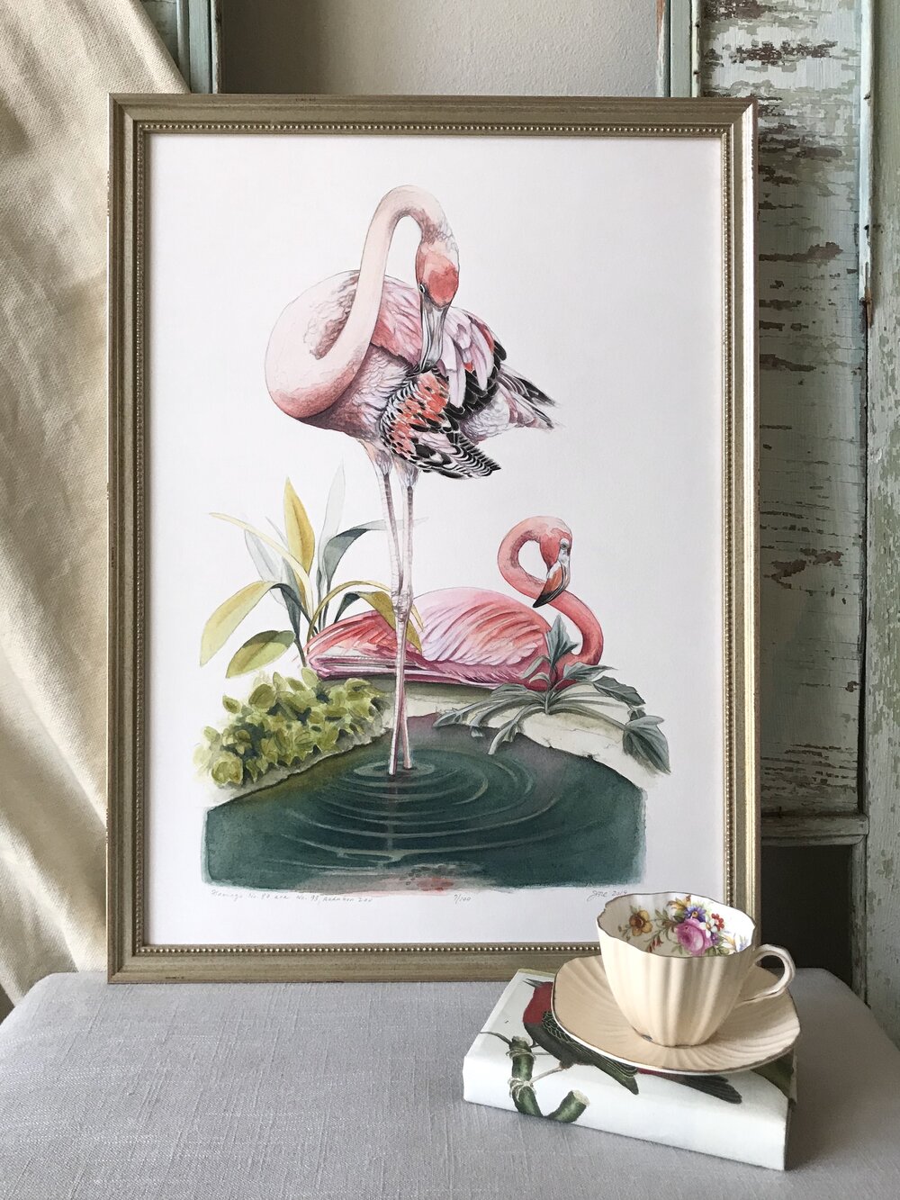 Audubon classique Flamingo illustration Notelet Cartes Pack de 5 A6 & Envs Blank