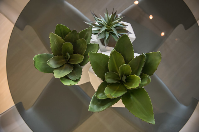 Dining Room Table Details