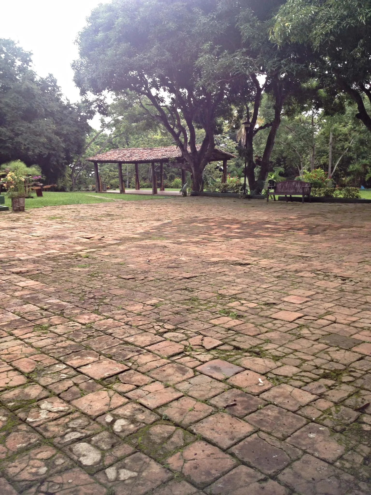 ESTADO ORIGINAL DE PLAZA