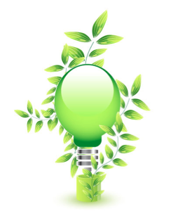 bulb.png