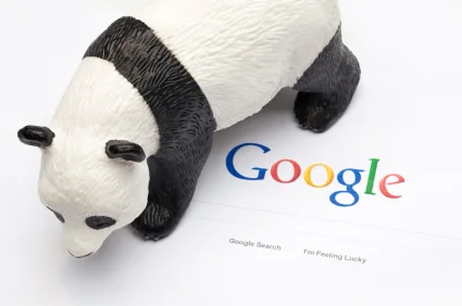 Pandagoogle.jpg