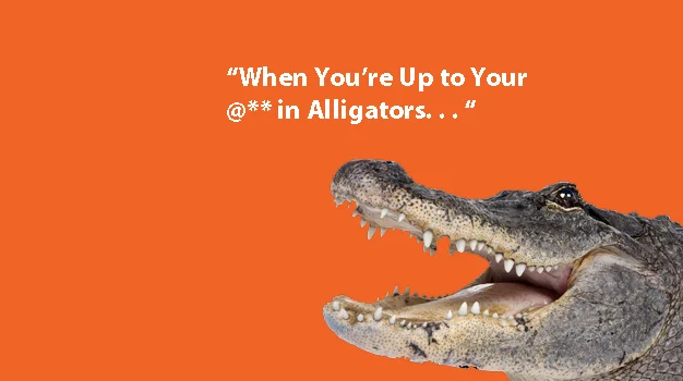 alligator.jpg
