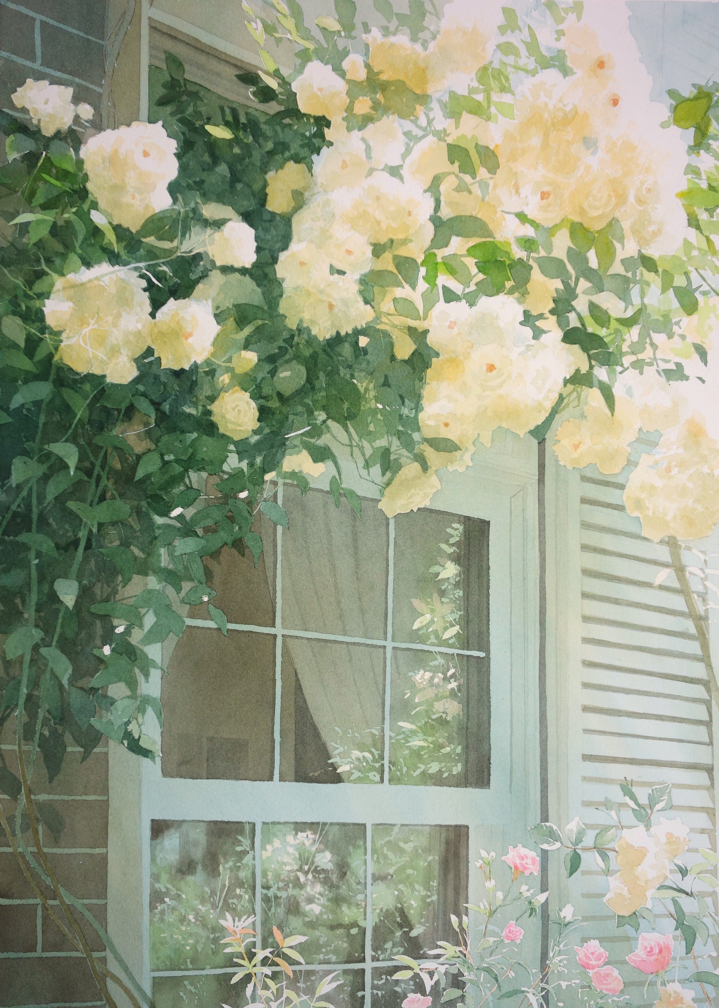 3 白薔薇の窓 50x35cm.JPG