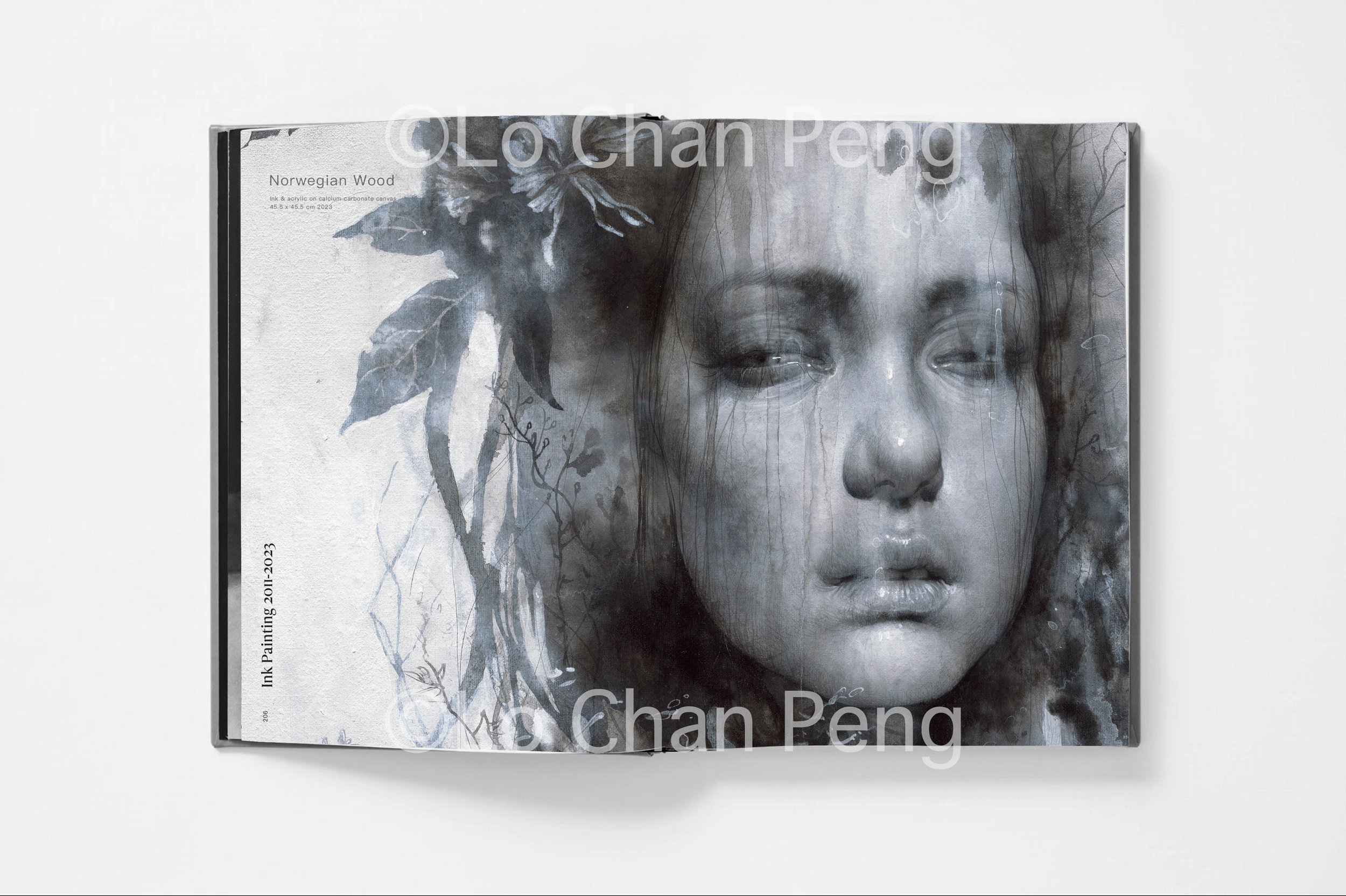 Lo-Chan-Peng-Pages_02D_c.jpg