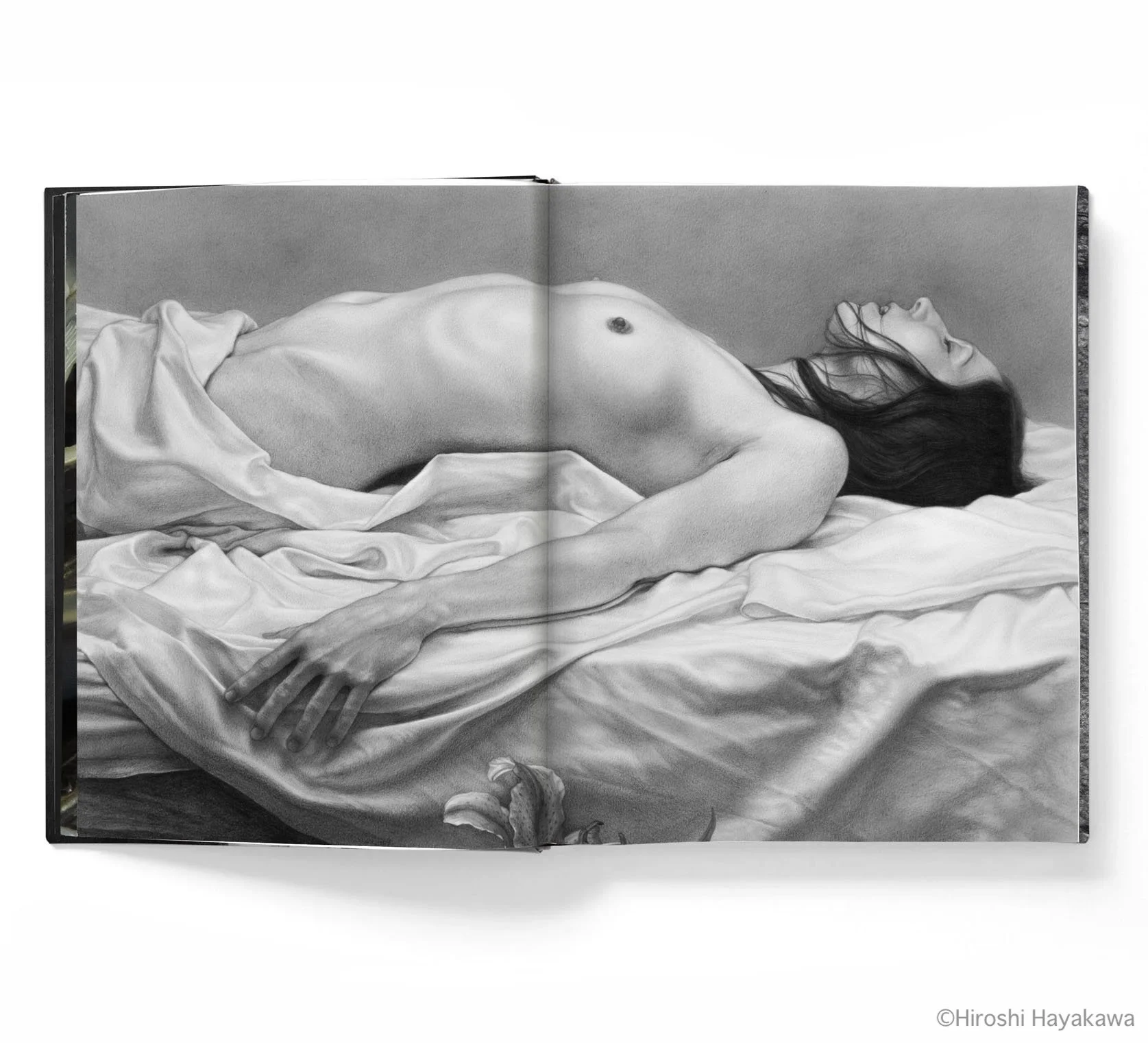 Book Hayakawa_12.jpg