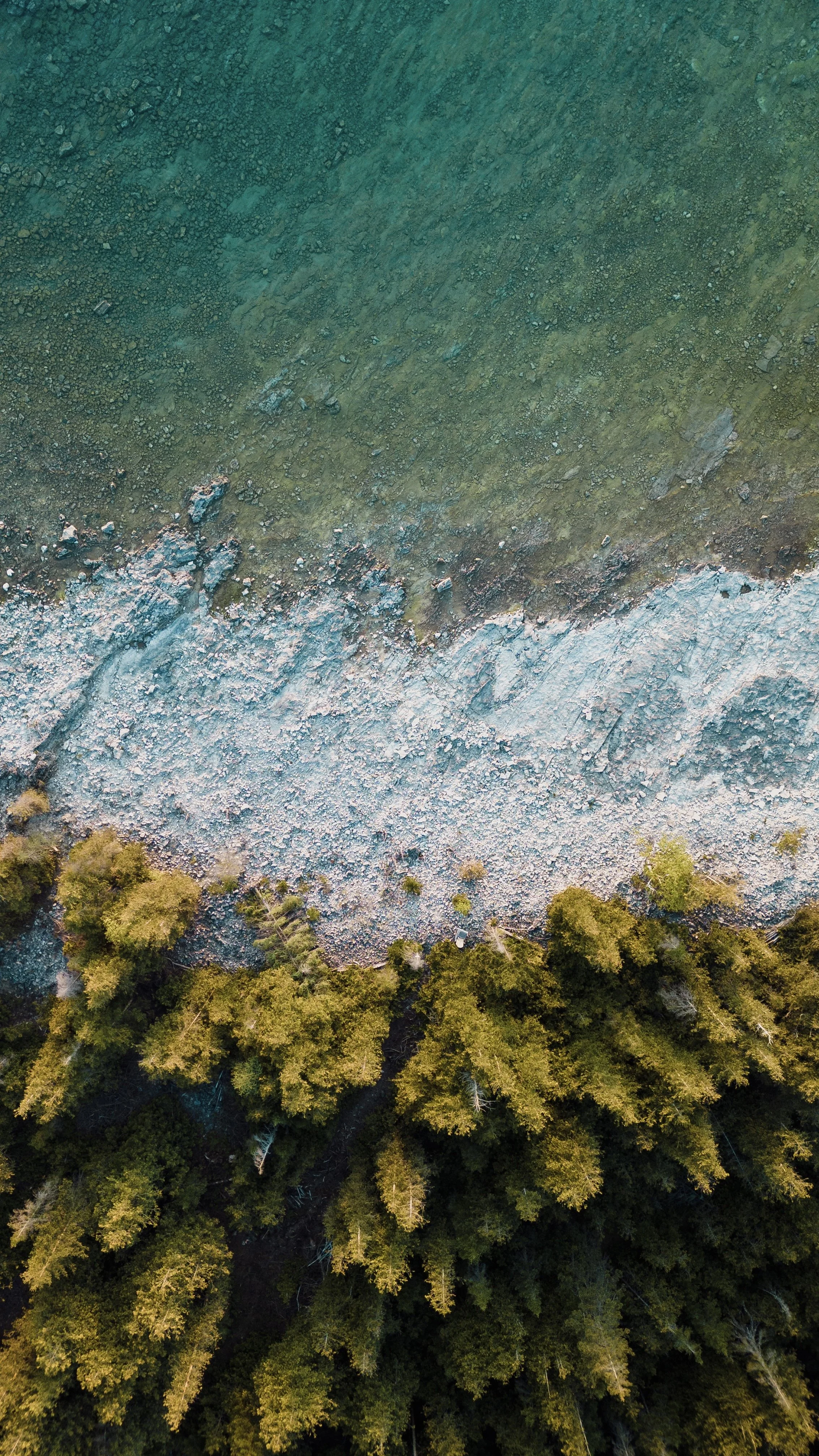 60 Greenough Point Road - Bruce Peninsula - Summer - Real Estate -  Modern Movement Creative - Mitchell Hubble -May 24, 2023 - 75.jpg